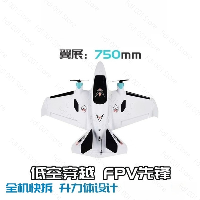 Dual-Motor FPV RC-Flugzeug mit – Drone Motor Bewertung und Preis